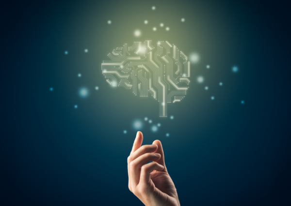 脳内のイメージ